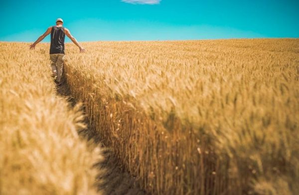 ΕΛΣΤΑΤ – Αυξημένες εισροές και εκροές στη γεωργία – κτηνοτροφία και τον Οκτώβριο του 2021