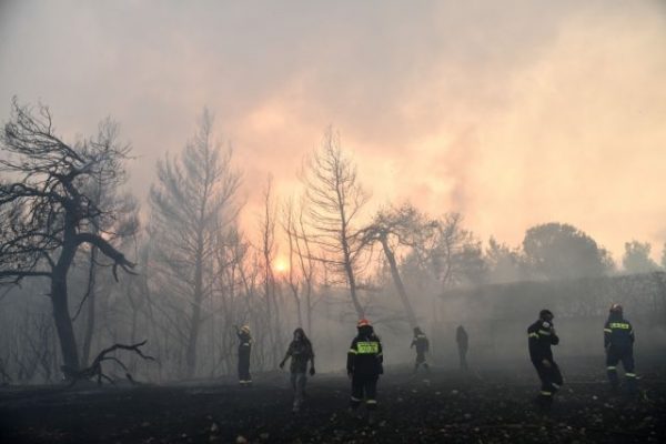 Τέσσερις μήνες μετά – Πτήση πάνω από τις καμένες εκτάσης της Αττικής