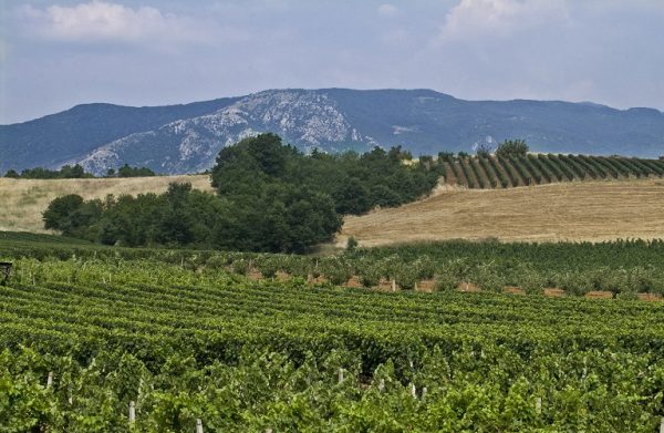 ΟΠΕΚΕΠΕ – Έως 27/1 οι ενστάσεις ελέγχων με τηλεπισκόπηση