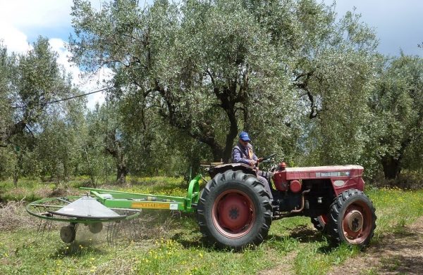 Ο αντίκτυπος του κόστους παραγωγής στις γεωργικές εισροές