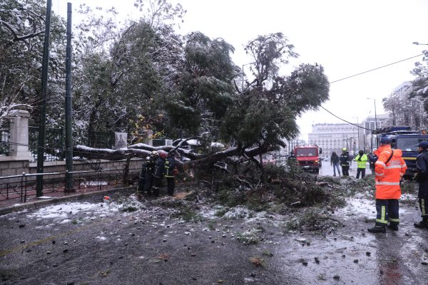 ΔΕΔΔΗΕ: Αποκαταστάθηκαν οι βλάβες στις κύριες γραμμές Μέσης Τάσης