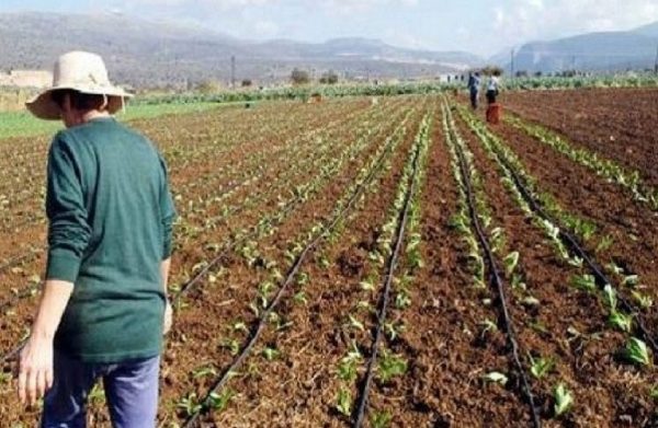 ΕΛΣΤΑΤ: Συνεχίστηκε και τον Δεκέμβριο η αύξηση του κόστους εισροών