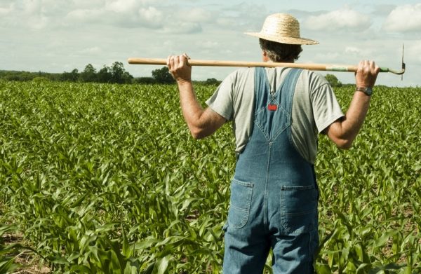 Πώς θα γίνει ο συμψηφισμός χρεών των αγροτών- Την Τρίτη στη Βουλή η ρύθμιση