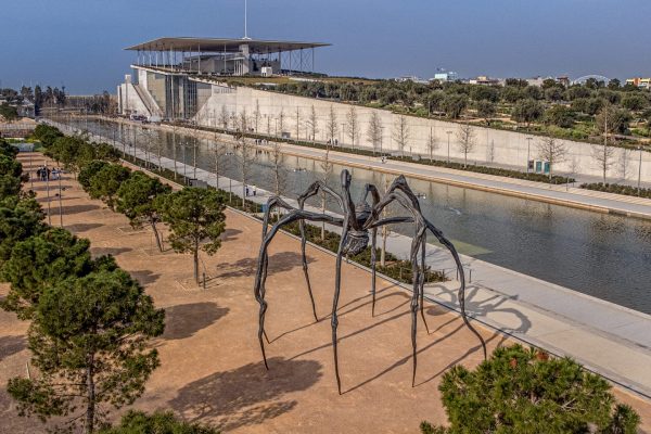 Γιγάντια αράχνη προσγειώθηκε στο Σταύρος Νιάρχος – Απίθανες φωτογραφίες