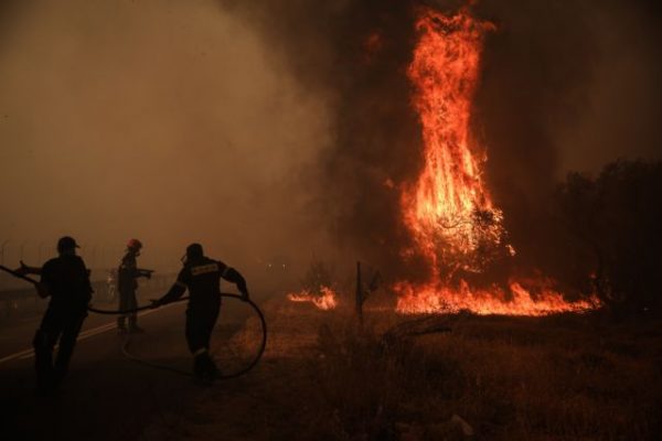 Ζάκυνθος: Μεγάλη πυρκαγιά καίει δάσος