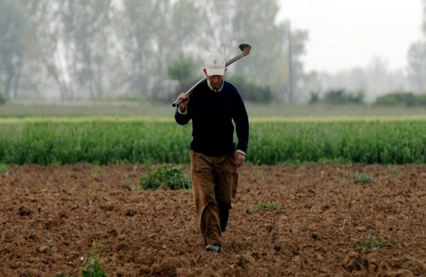 ΕΛΓΑ: Μέχρι πότε εξοφλούνται χρέη της Ειδικής Ασφαλιστικής Εισφοράς