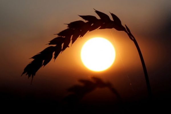 Καιρός: Ρεκόρ υψηλών θερμοκρασιών το πρώτο τρίμηνο του 2024