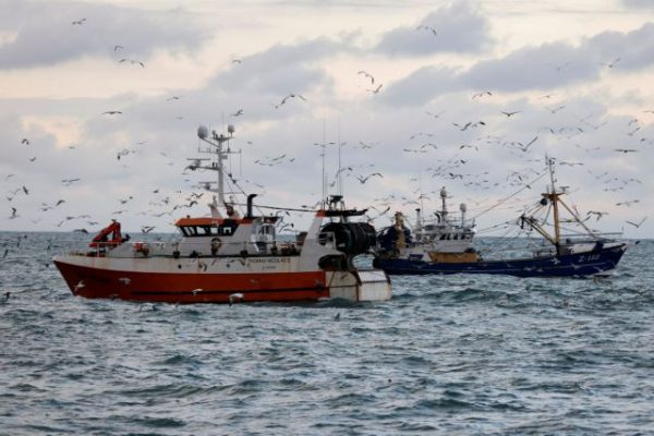 Ινστιτούτο Ναυτικής Τεχνολογίας: Συζήτηση για ενίσχυση της αλιείας