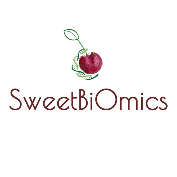 SweetBiOmics: Εκχυλίσματα κερασιού για πολλαπλασιασμό κυττάρων εντόπισαν ερευνητές του ΑΠΘ