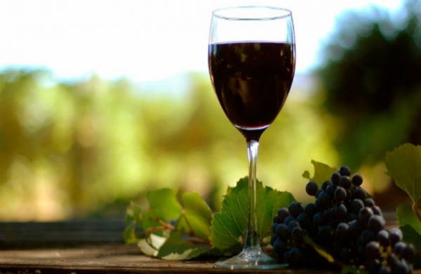 International Xinomavro Day: Honoring Greece’s Premier Grape on November 1st