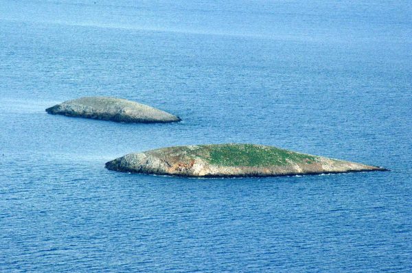 Τουρκική ακταιωρός παραβίασε τα ελληνικά χωρικά ύδατα δίπλα στα Ίμια