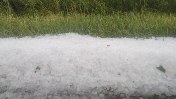 Χαλάζι: Μετρούν τις πληγές τους οι αγρότες