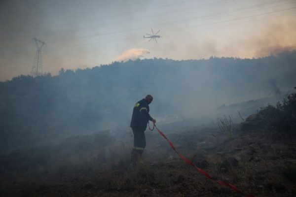 One man detained for attempted forest arson north of Athens