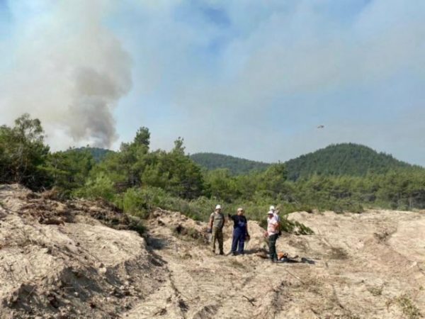 Στυλιανίδης από Δαδιά: Νέο σχέδιο κατάσβεσης – Συνεχείς οι αναζωπυρώσεις