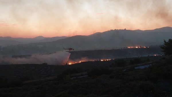 Φωτιά στην Ηλεία: Σηκώθηκαν εναέρια μέσα