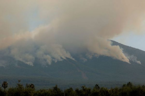 Δυτική Ευρώπη: Ακραίες θερμοκρασίες και δασικές πυρκαγιές – Σε συναγερμό Βρετανία, Ιρλανδία και Βέλγιο για τον επερχόμενο καύσωνα