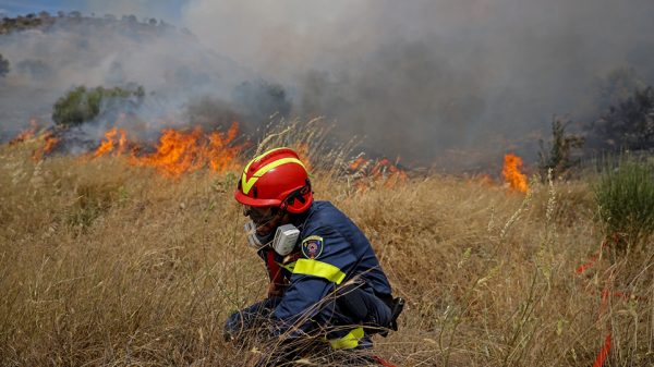 New wildfire front in western Attica prefecture near Megara