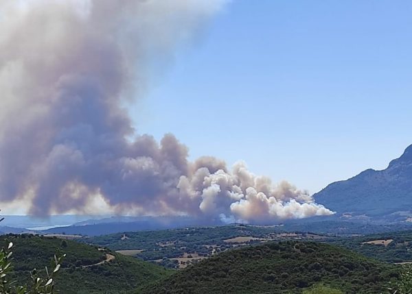 Φωτιά στις Πόρτες Αχαΐας: Μεγάλη κινητοποίηση της πυροσβεστικής