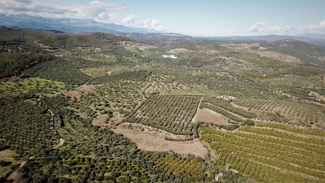 Λάγιο Λακωνίας: Τίτλοι τέλους σε πέντε μήνες…