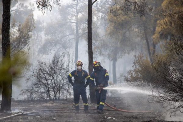 Θεσσαλονίκη: Φωτιά στο Σέιχ Σου