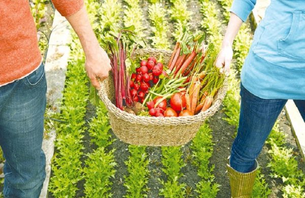 ΥπΑΑΤ: Πάνω από 60.000 παραγωγοί θα ωφεληθούν από το πρόγραμμα βιολογικής γεωργίας