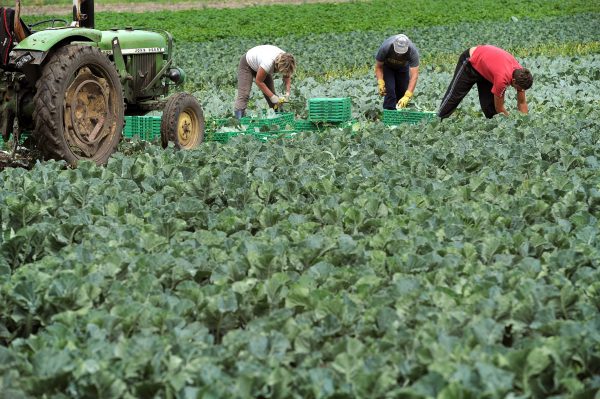 Γαλλία: Mετανάστες θα καλύψουν τις ελλείψεις της αγοράς εργασίας