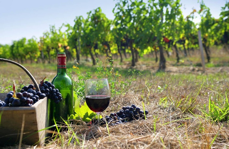 The creator of the most expensive wine in the world tackles the vines of Naxos