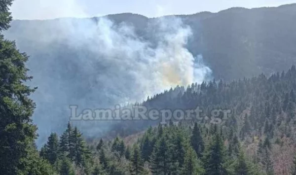 Λαμία: Φωτιά στο δάσος Τυμφρηστού