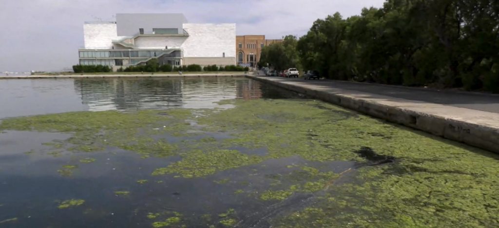 Θεσσαλονίκη: Γιατί έγινε πράσινος ο Θερμαϊκός Κόλπος; – Τι λένε οι επιστήμονες