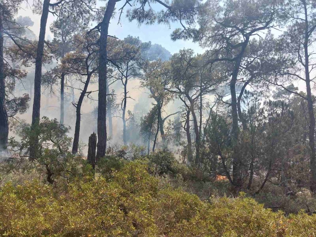 Ρόδος: Μεγάλη φωτιά κινείται απειλητικά προς πευκοδάσος