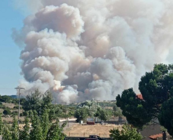 Δερβενοχώρια: Πύρινο μέτωπο στον Πάνακτο Βοιωτίας