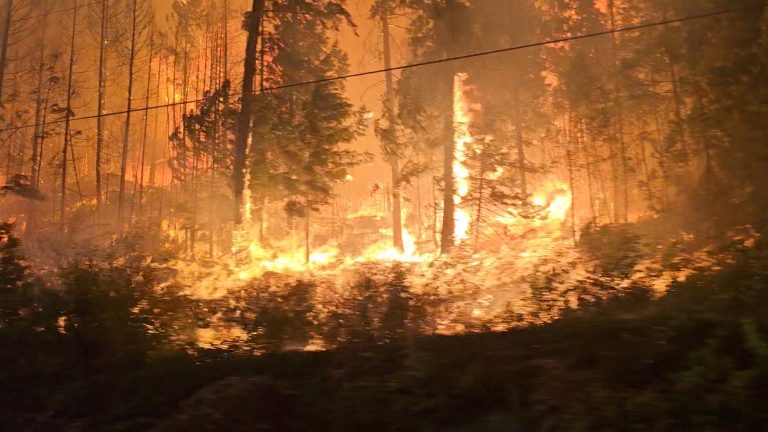Φωτιές: Η κλιματική κρίση αλλάζει τα δεδομένα – Ηχηρό καμπανάκι κινδύνου