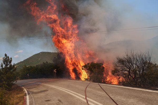 Φωτιά: Νέα εστία στην Εύβοια – Απογειώθηκαν εναέρια μέσα