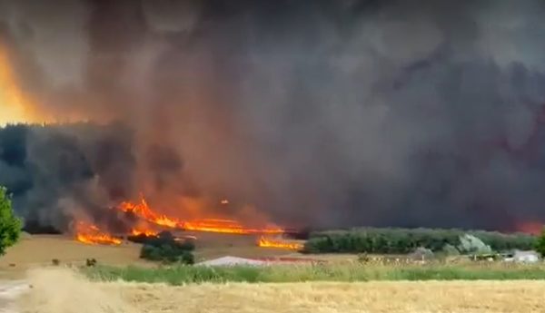 Φωτιά στην Αλεξανδρούπολη: Η αστυνομία συνδράμει στη μάχη με τις φλόγες