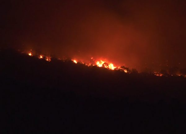 Φωτιά στην Αλεξανδρούπολη: Ολονύχτια μάχη με τις φλόγες – Ισχυροί άνεμοι και αναζωπυρώσεις δυσκολεύουν το έργο της κατάσβεσης