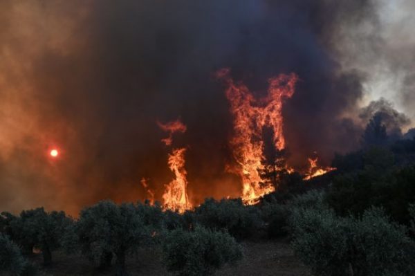 Wildfires in Greece: Unprecedented images in Alexandroupolis – Intubated patients in tents at the port