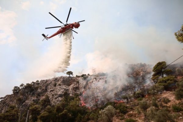 Πυρόπληκτοι: Παράταση για τις δηλώσεις φορολογικών υποχρεώσεων κατοίκων και επιχειρηματιών του Δήμου Φυλής