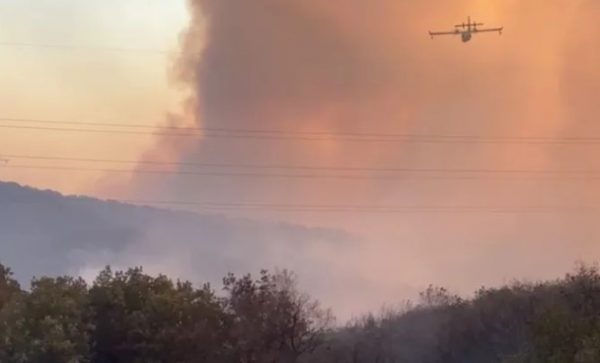 Φωτιά στην Αλεξανδρούπολη: Πλησιάζουν τη Δαδιά οι φλόγες – «Χιονίζει» στάχτη στο κέντρο της πόλης – Ήχησε το 112