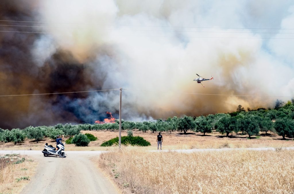 Φωτιά στην Εύβοια: Προς Βατώντα το πύρινο μέτωπο – Σε ετοιμότητα το Λιμενικό