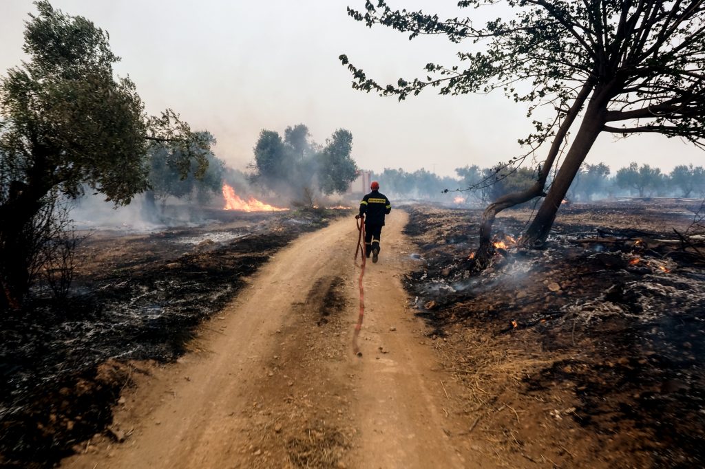 Φωτιά στη Βοιωτία: Απεγκλωβισμός 60 ατόμων από την παραλία Σαράντη