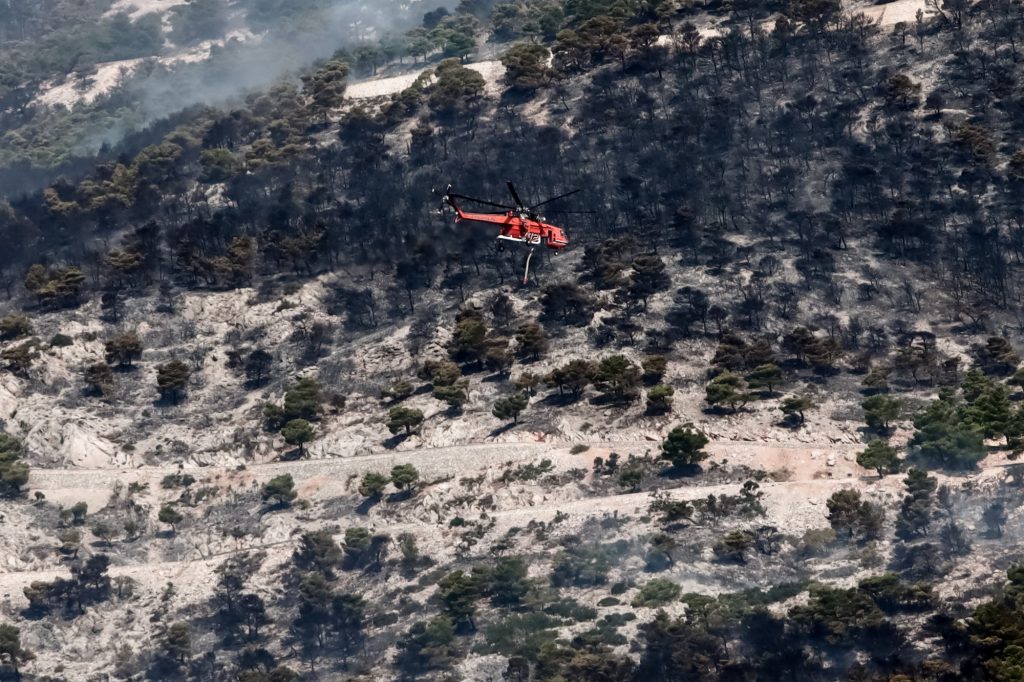 Πυρκαγιά στην Πάρνηθα: Κάηκαν 64.330 στρέμματα – Αποκαρδιωτικά τα στοιχεία για τις φωτιές