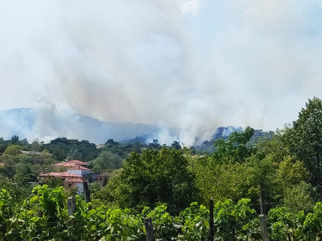 Improved situation in wildfire front across Greece on Fri.