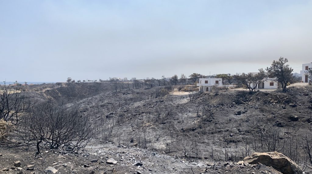 Σταύρος Κελέτσης: Άμεση η καταβολή των αποζημιώσεων στους πληγέντες αγρότες και κτηνοτρόφους