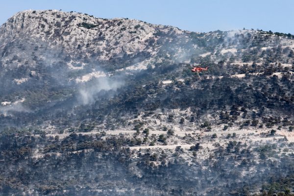 Το «αποτύπωμα» των πυρκαγιών στην Αττική – Οι επιπτώσεις στο περιβάλλον και οι προτάσεις Λέκκα για την επόμενη μέρα