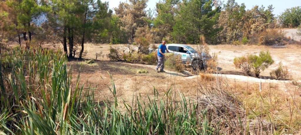 Πάρνηθα – Δαδιά: Δράσεις προστασίας της άγριας πανίδας [εικόνες]