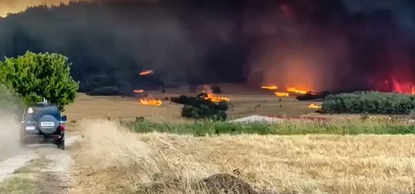 Φωτιά στην Αλεξανδρούπολη: Εκκενώνονται Μοναστηράκι, Δορίσκος, Αμφιτρίτη, Μαΐστρος και Αβαντας