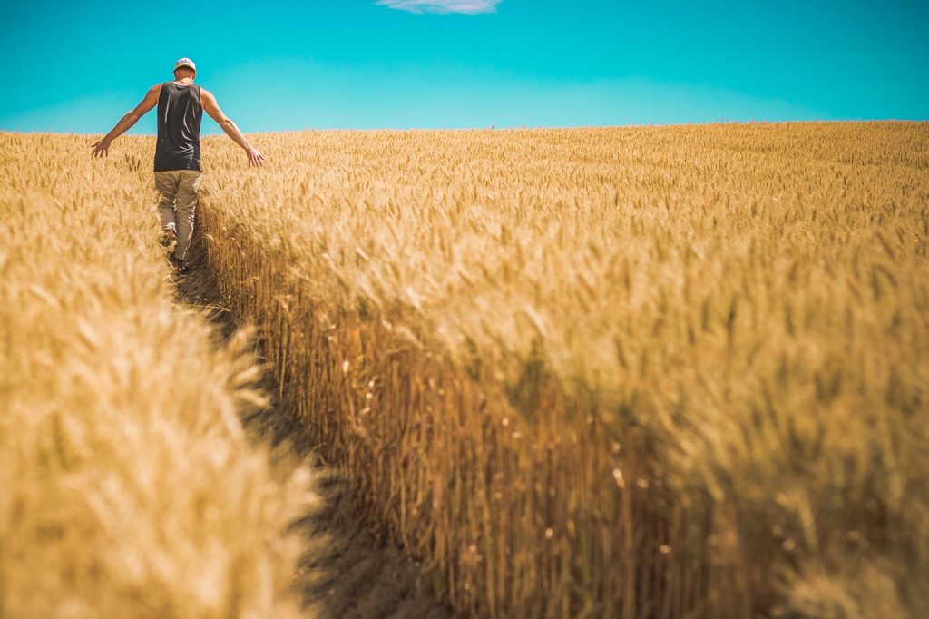 European Organic Awards 2023: Έλληνας ο καλύτερος Ευρωπαίος αγρότης βιολογικών προϊόντων