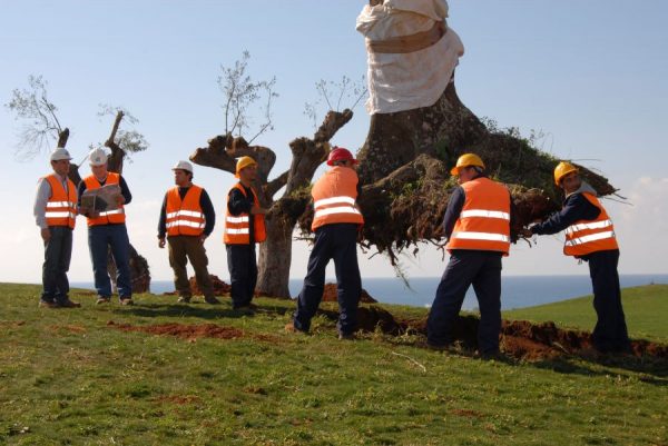 Costa Navarino: Μειωμένες κατά 80% οι εκπομπές ρύπων το 2022