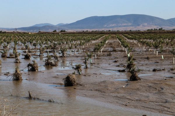 Θεσσαλία: Να επισπευσθεί το μέτρο στήριξης των παραγωγών στα παρακάρλια