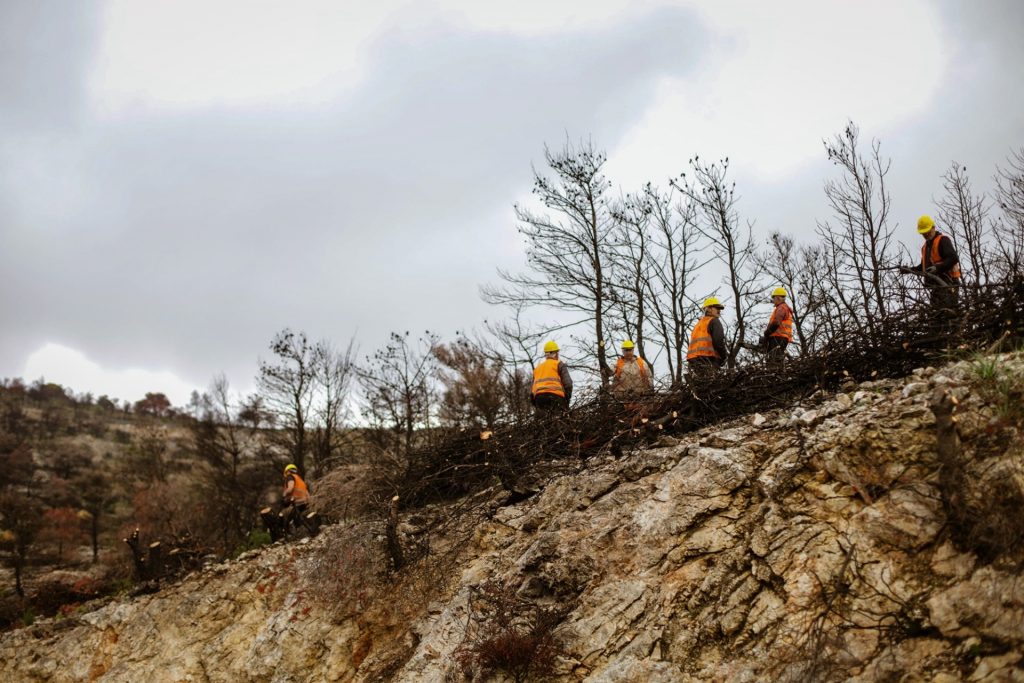 ΔΕΗ: Αποκατάσταση 13.600 στρεμμάτων στην Πάρνηθα με χορηγία 2,5 εκατ. ευρώ